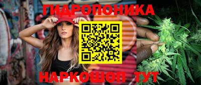 шишки Сланцы