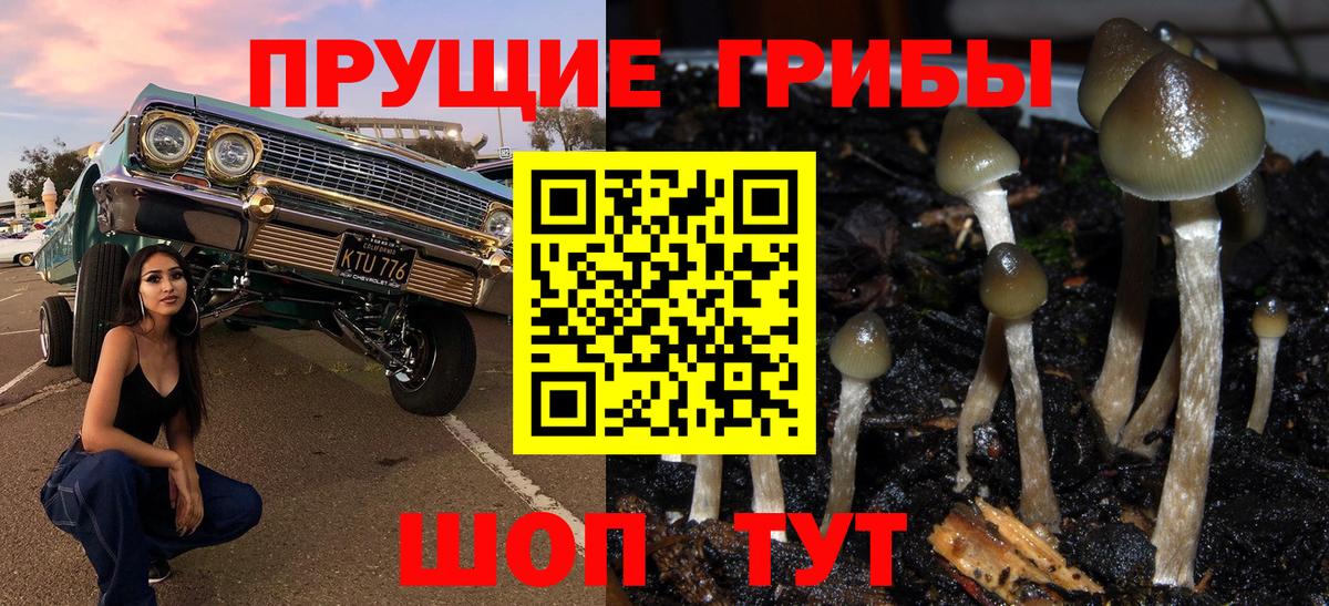 Псилоцибиновые грибы прущие грибы Сальск